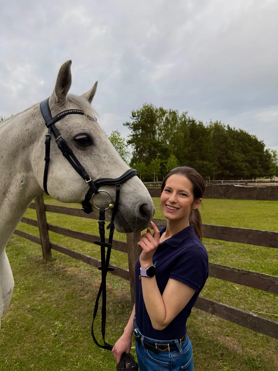 Horse in a pasture