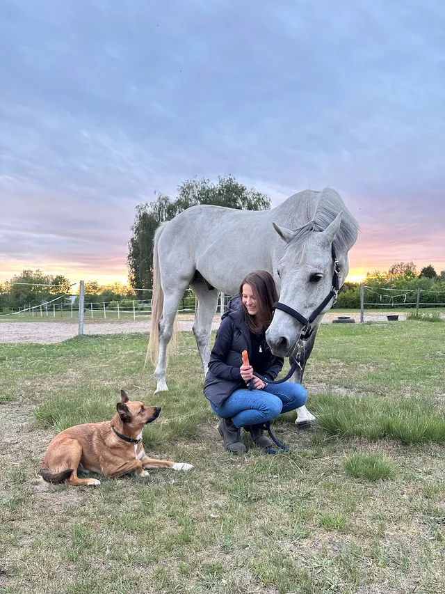 Horse with dog and veterinarian holding a carrot in her hand